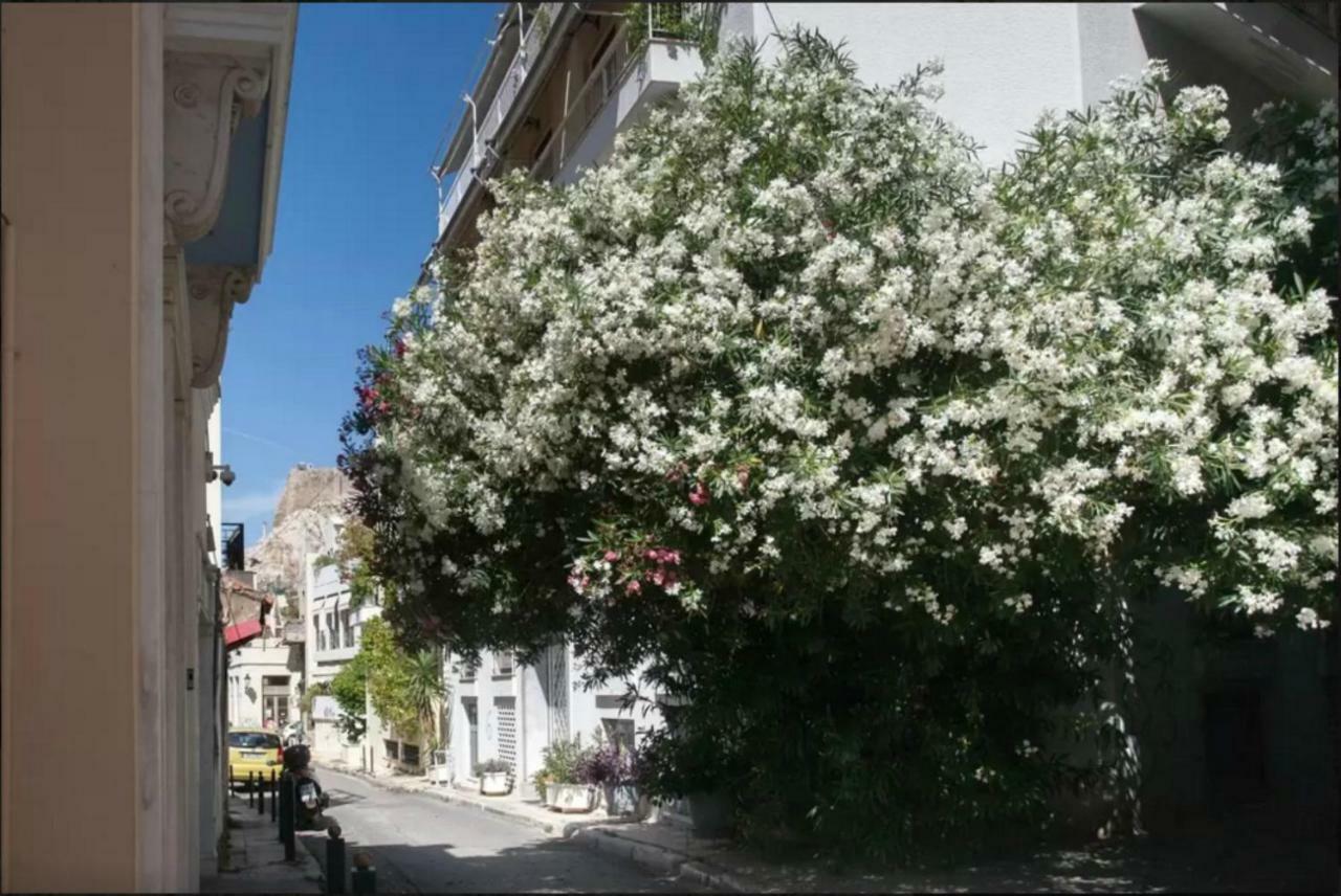 Appartement Vintage Charm By The Acropolis! à Athènes Extérieur photo